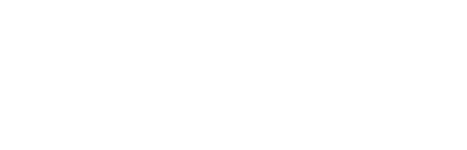 logo-Plugfy-9